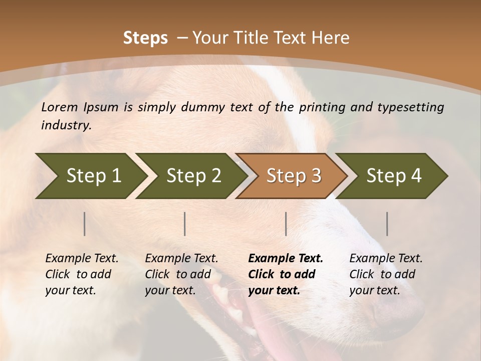 A Brown And White Dog Is On A Leash PowerPoint Template