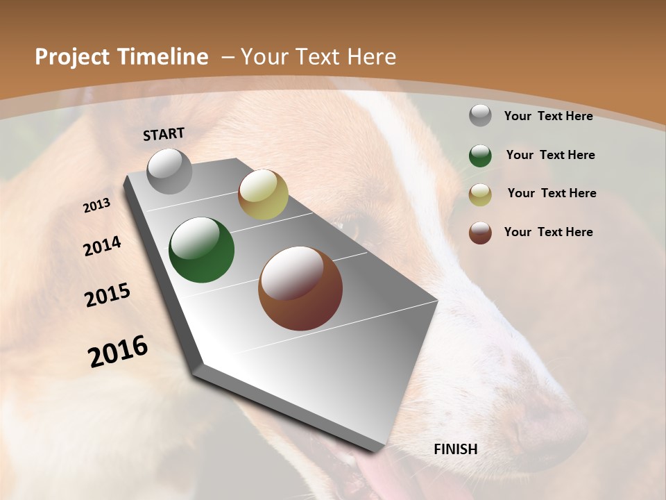 A Brown And White Dog Is On A Leash PowerPoint Template