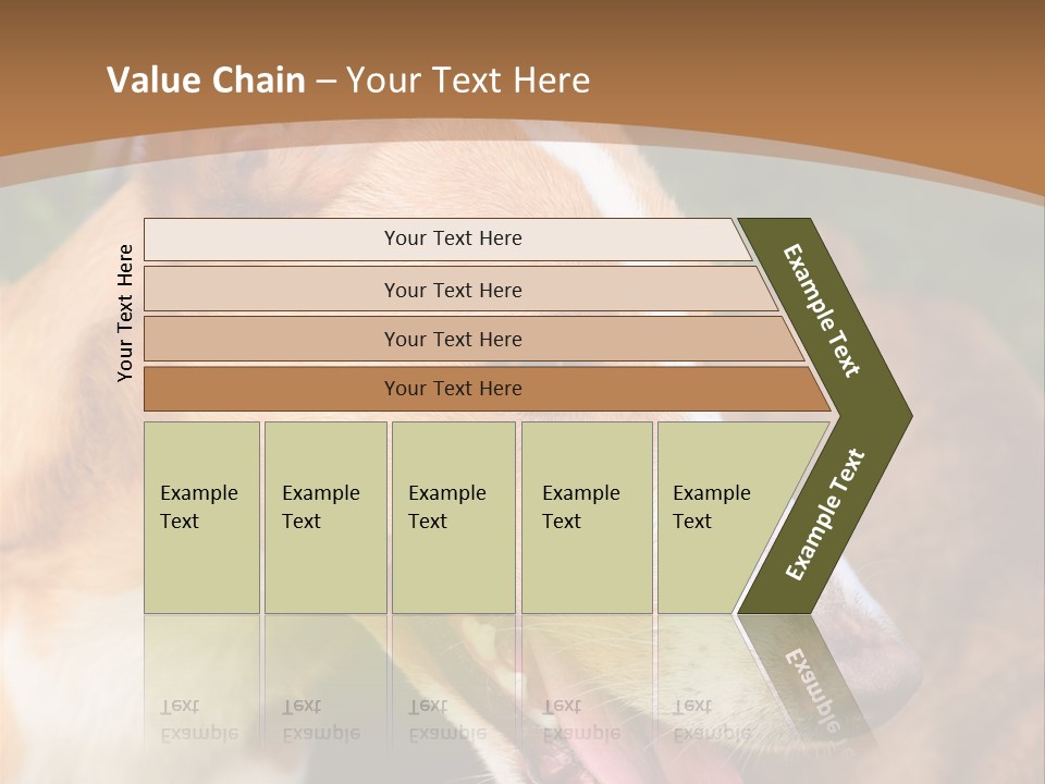 A Brown And White Dog Is On A Leash PowerPoint Template