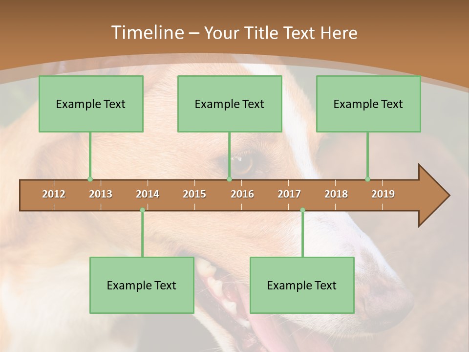 A Brown And White Dog Is On A Leash PowerPoint Template