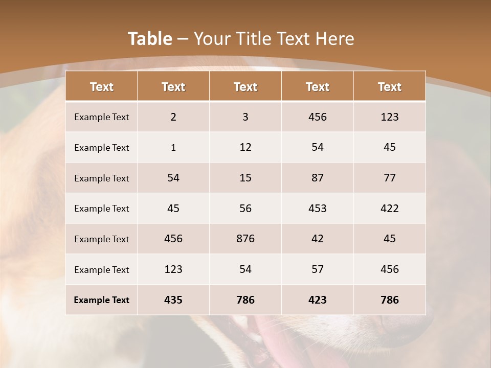 A Brown And White Dog Is On A Leash PowerPoint Template