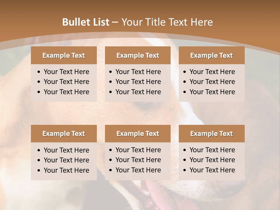 A Brown And White Dog Is On A Leash PowerPoint Template