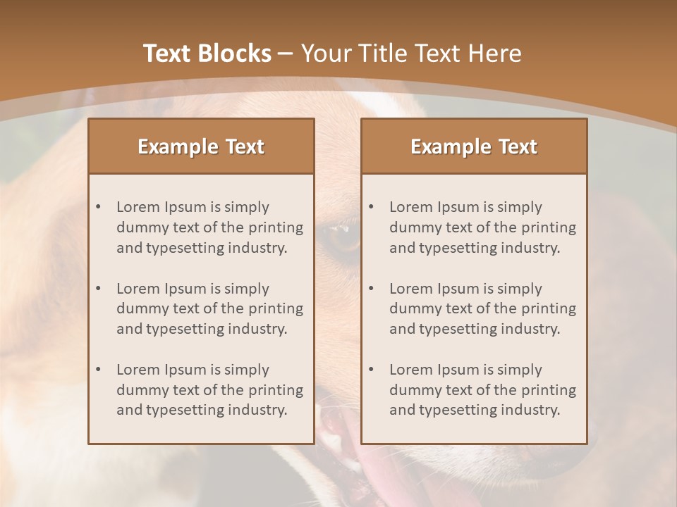 A Brown And White Dog Is On A Leash PowerPoint Template