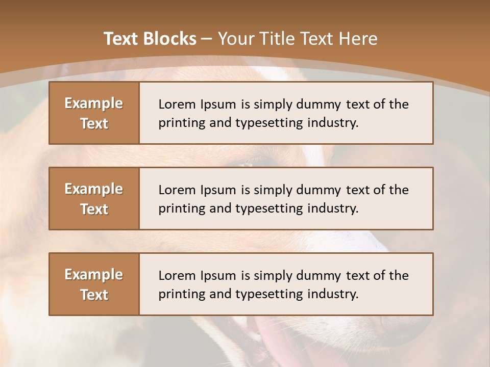 A Brown And White Dog Is On A Leash PowerPoint Template