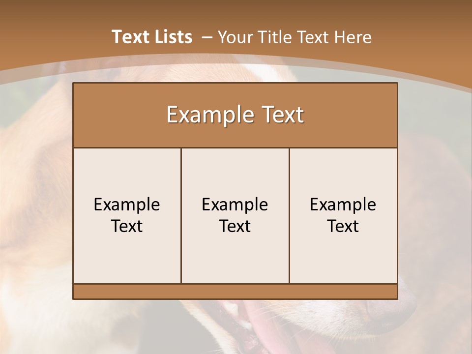 A Brown And White Dog Is On A Leash PowerPoint Template