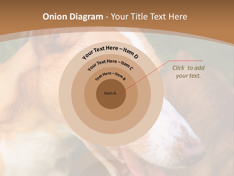 A Brown And White Dog Is On A Leash PowerPoint Template