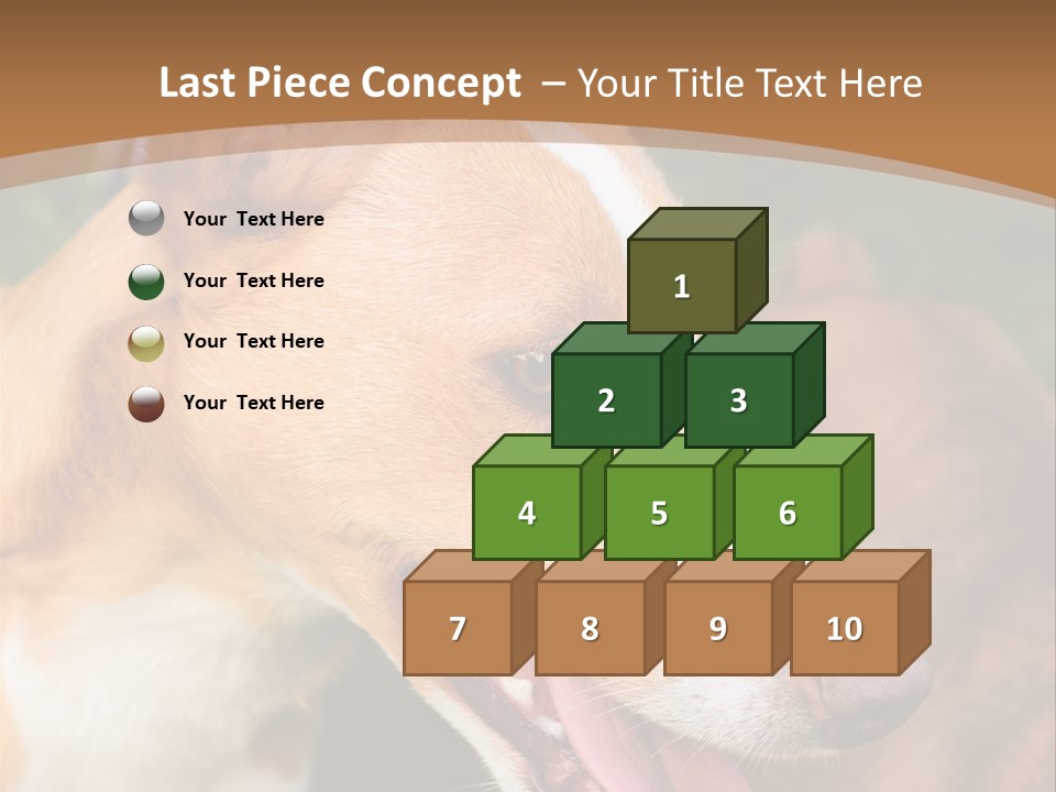 A Brown And White Dog Is On A Leash PowerPoint Template