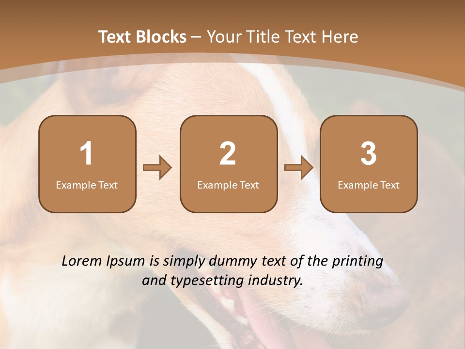 A Brown And White Dog Is On A Leash PowerPoint Template