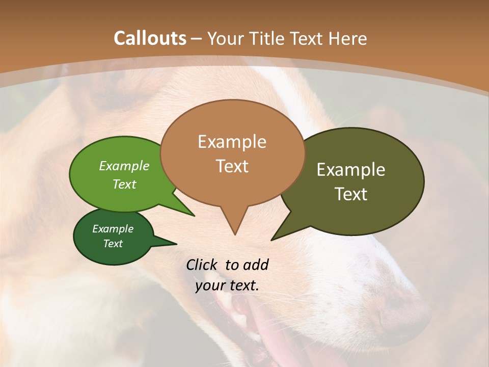 A Brown And White Dog Is On A Leash PowerPoint Template