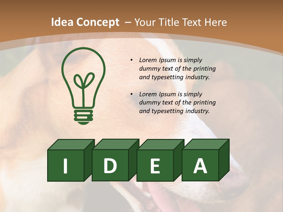 A Brown And White Dog Is On A Leash PowerPoint Template