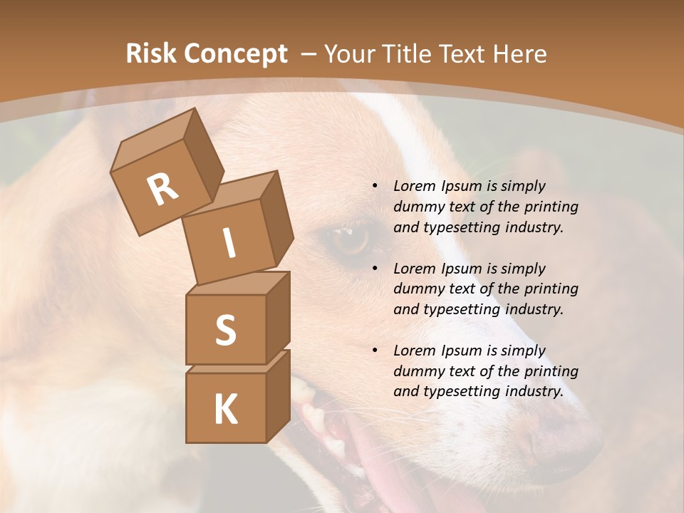 A Brown And White Dog Is On A Leash PowerPoint Template