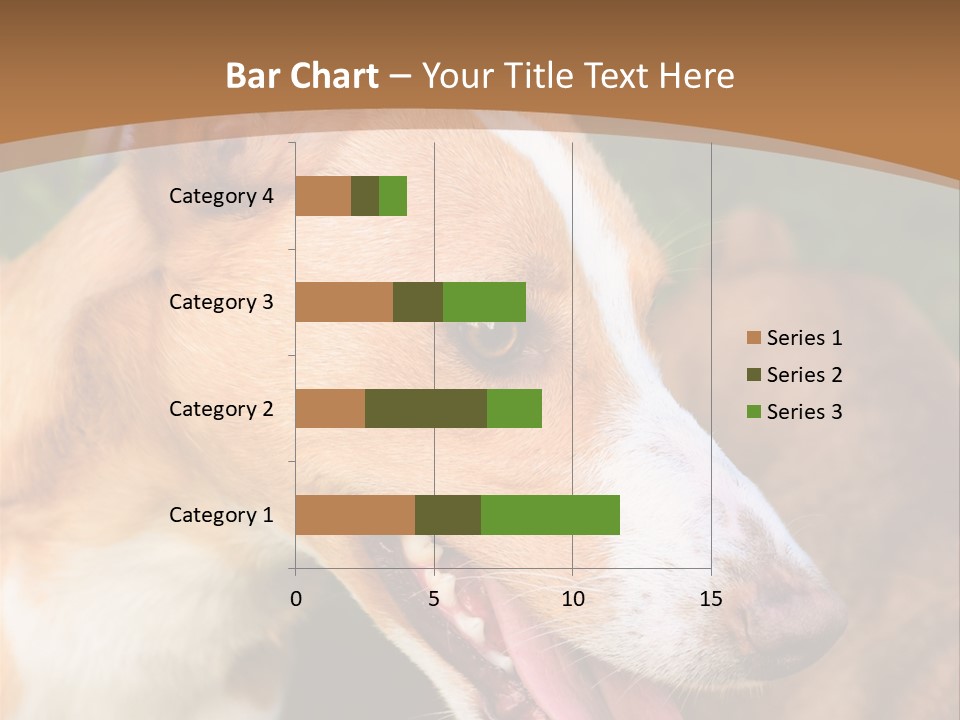 A Brown And White Dog Is On A Leash PowerPoint Template