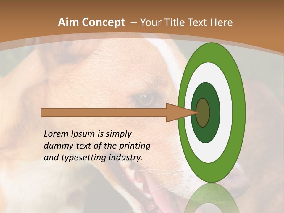 A Brown And White Dog Is On A Leash PowerPoint Template