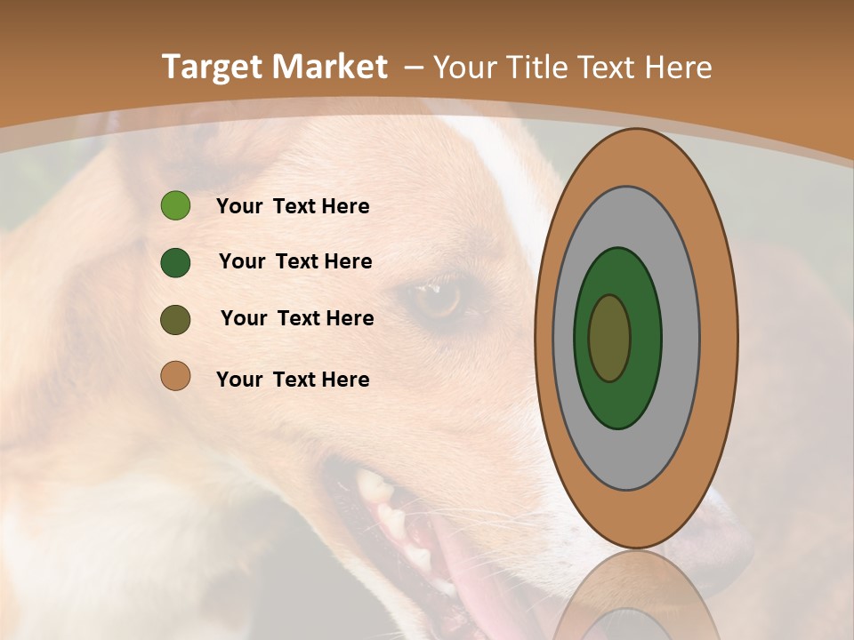 A Brown And White Dog Is On A Leash PowerPoint Template