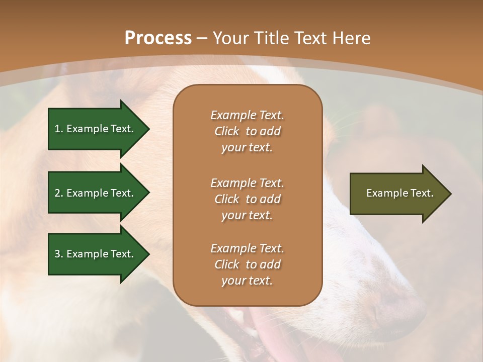 A Brown And White Dog Is On A Leash PowerPoint Template