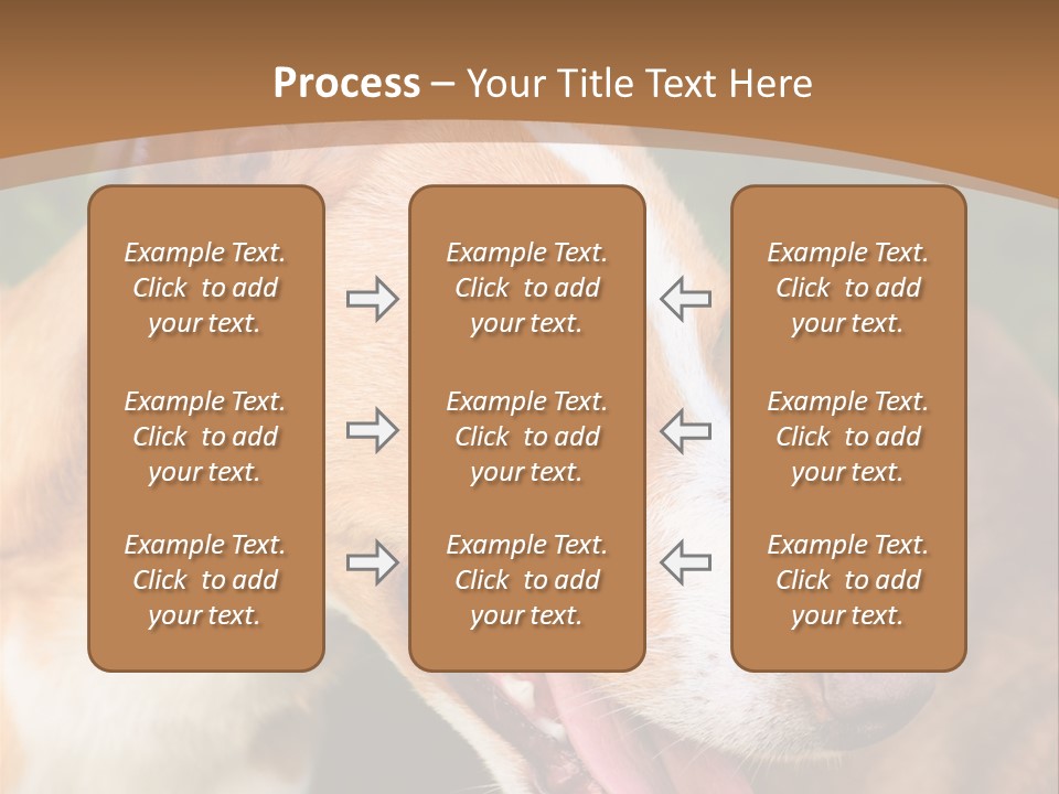 A Brown And White Dog Is On A Leash PowerPoint Template