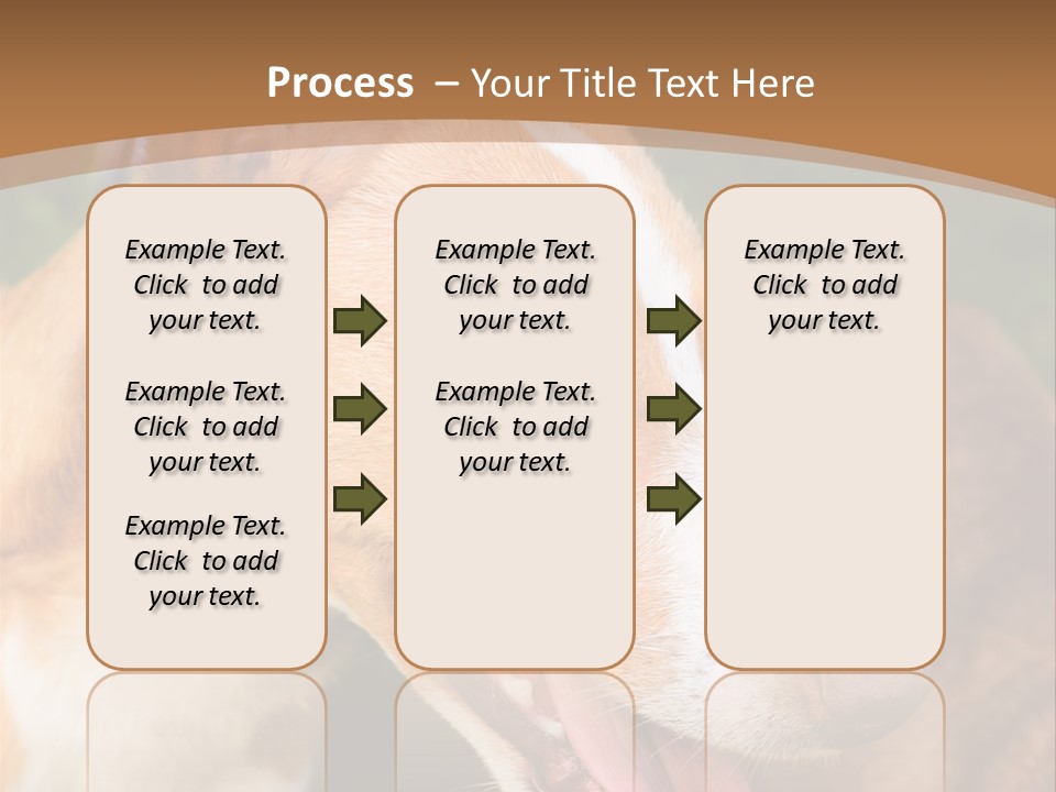 A Brown And White Dog Is On A Leash PowerPoint Template