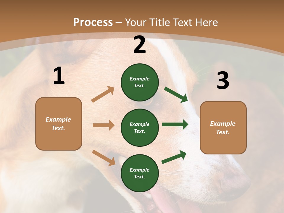 A Brown And White Dog Is On A Leash PowerPoint Template