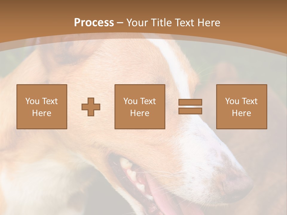 A Brown And White Dog Is On A Leash PowerPoint Template