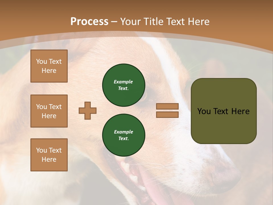 A Brown And White Dog Is On A Leash PowerPoint Template