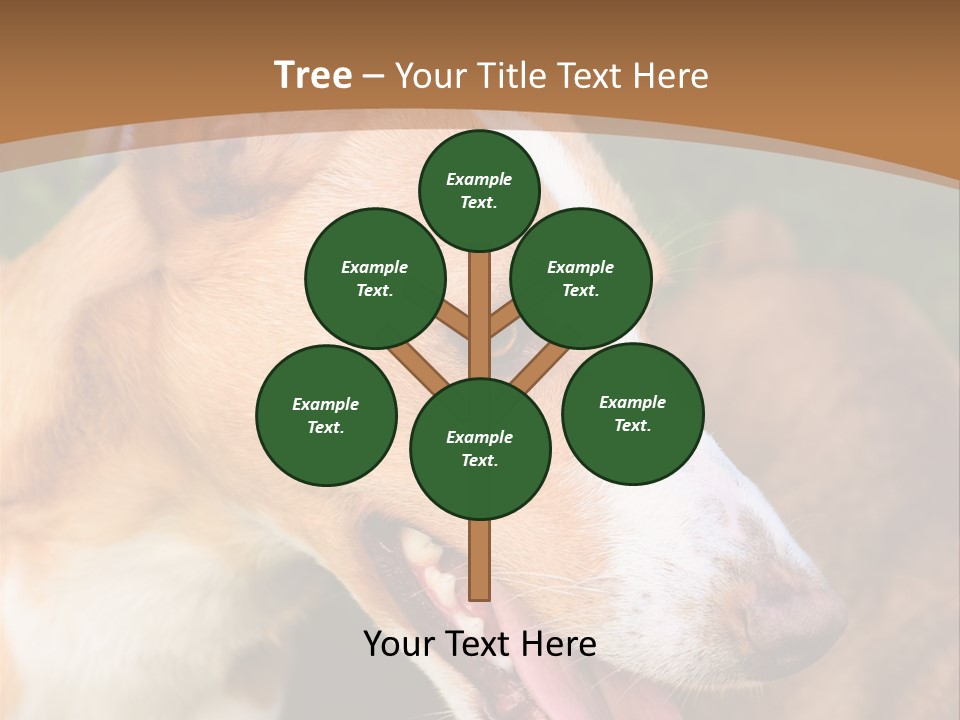 A Brown And White Dog Is On A Leash PowerPoint Template