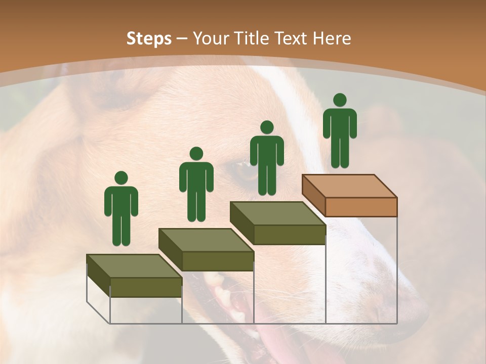 A Brown And White Dog Is On A Leash PowerPoint Template
