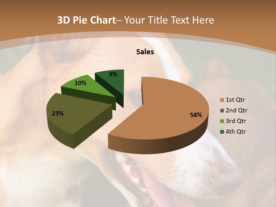 A Brown And White Dog Is On A Leash PowerPoint Template