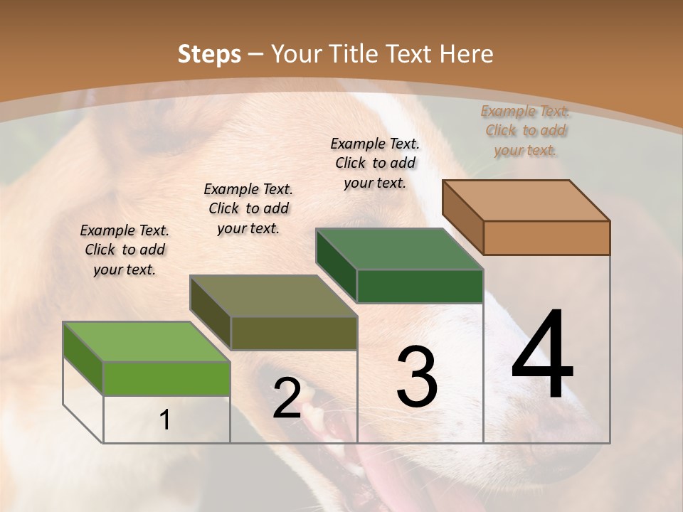 A Brown And White Dog Is On A Leash PowerPoint Template