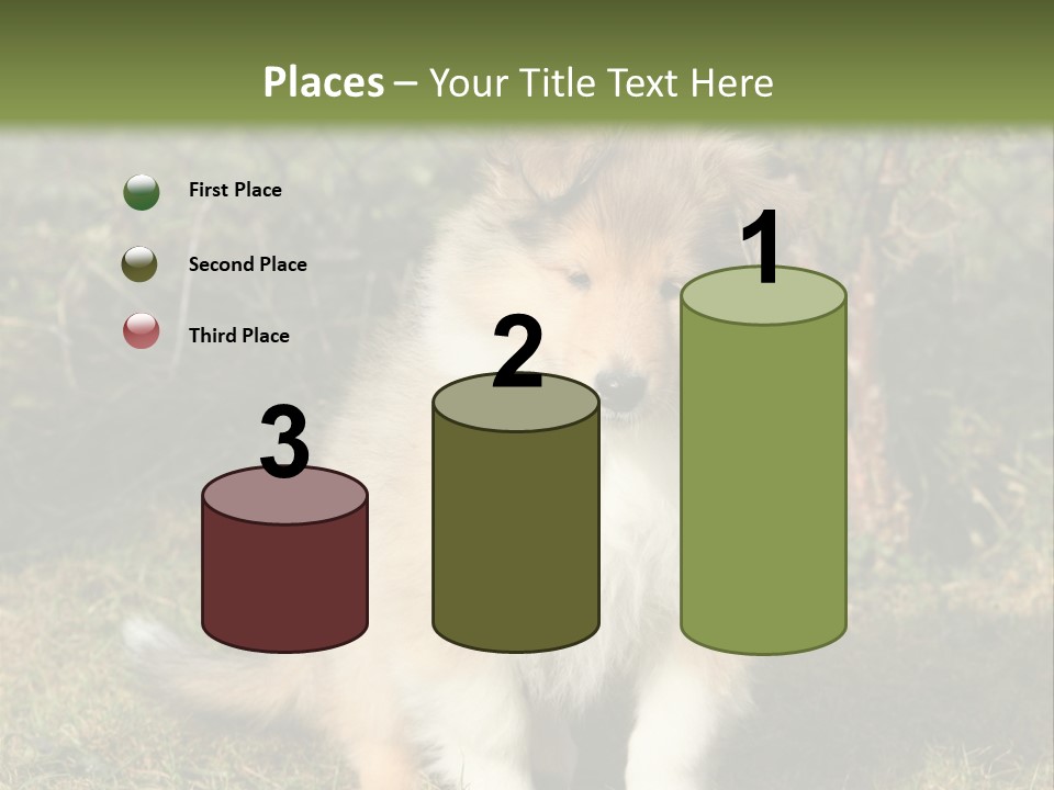 A Dog Is Sitting In The Grass Near A Fence PowerPoint Template