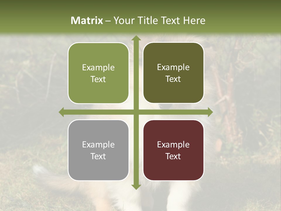 A Dog Is Sitting In The Grass Near A Fence PowerPoint Template