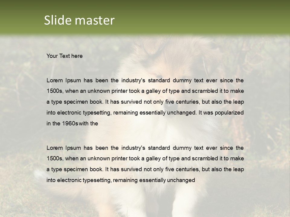 A Dog Is Sitting In The Grass Near A Fence PowerPoint Template