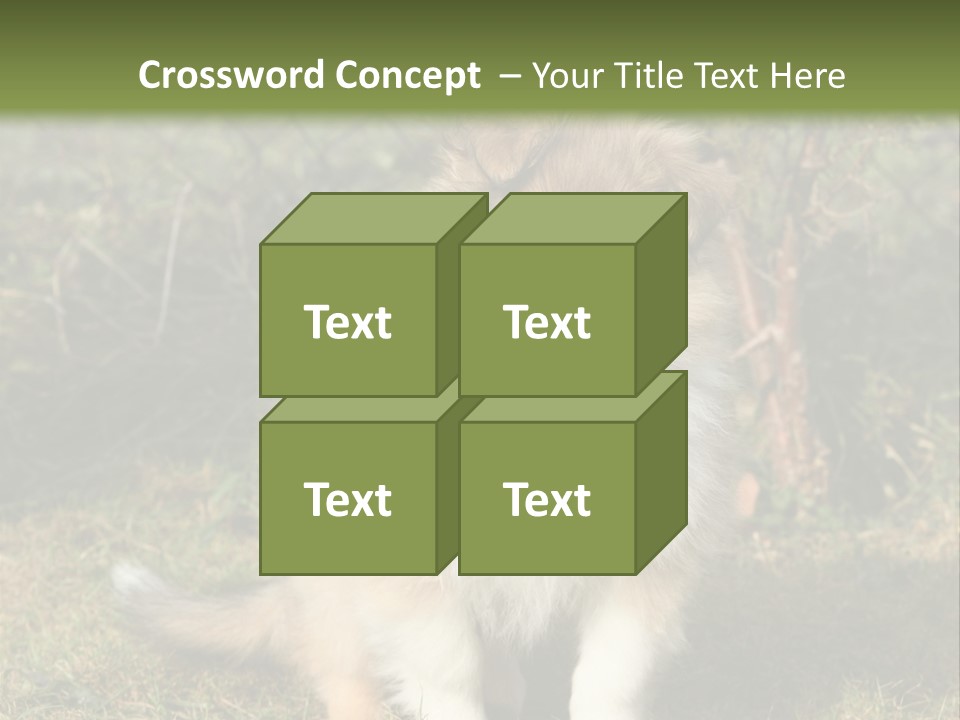 A Dog Is Sitting In The Grass Near A Fence PowerPoint Template