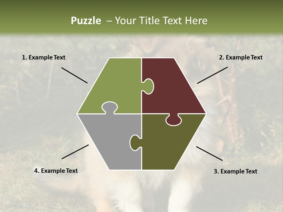 A Dog Is Sitting In The Grass Near A Fence PowerPoint Template