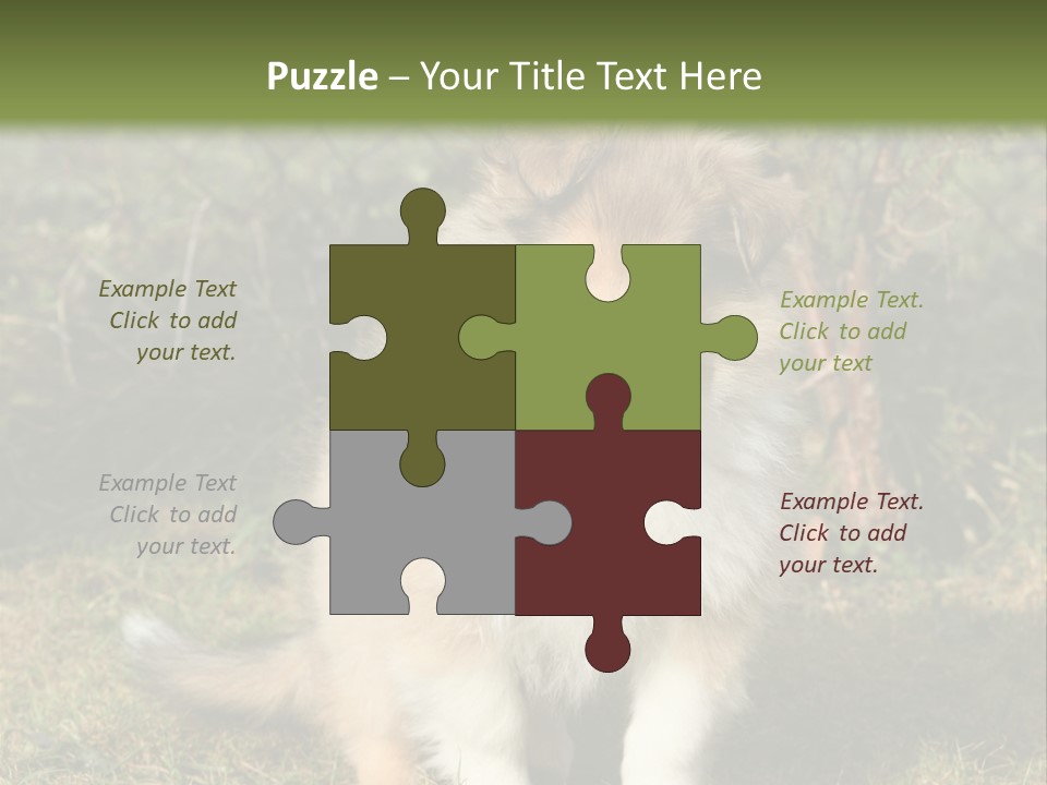 A Dog Is Sitting In The Grass Near A Fence PowerPoint Template