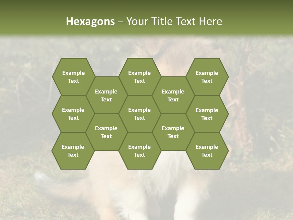 A Dog Is Sitting In The Grass Near A Fence PowerPoint Template