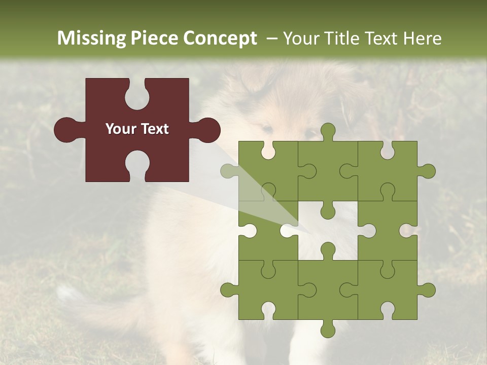 A Dog Is Sitting In The Grass Near A Fence PowerPoint Template