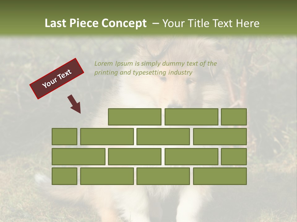 A Dog Is Sitting In The Grass Near A Fence PowerPoint Template