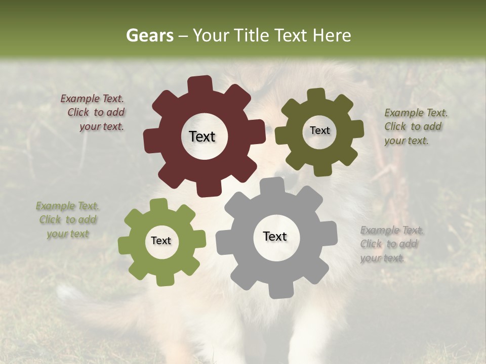 A Dog Is Sitting In The Grass Near A Fence PowerPoint Template