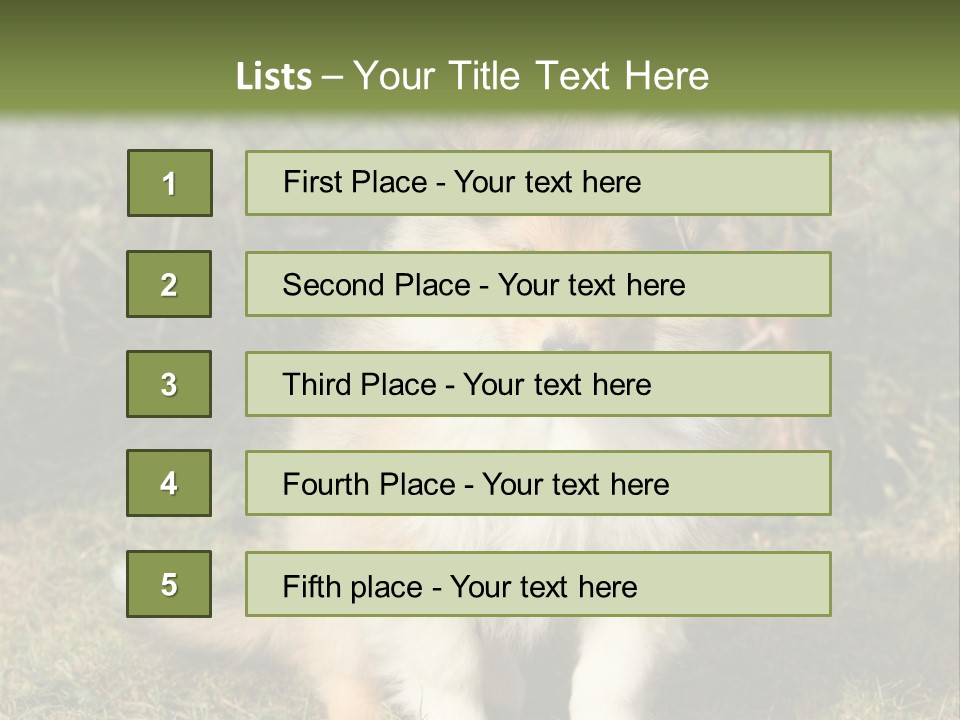 A Dog Is Sitting In The Grass Near A Fence PowerPoint Template