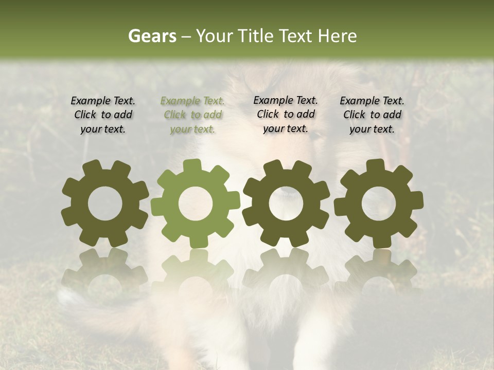A Dog Is Sitting In The Grass Near A Fence PowerPoint Template