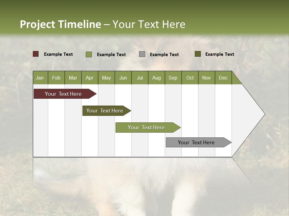 A Dog Is Sitting In The Grass Near A Fence PowerPoint Template