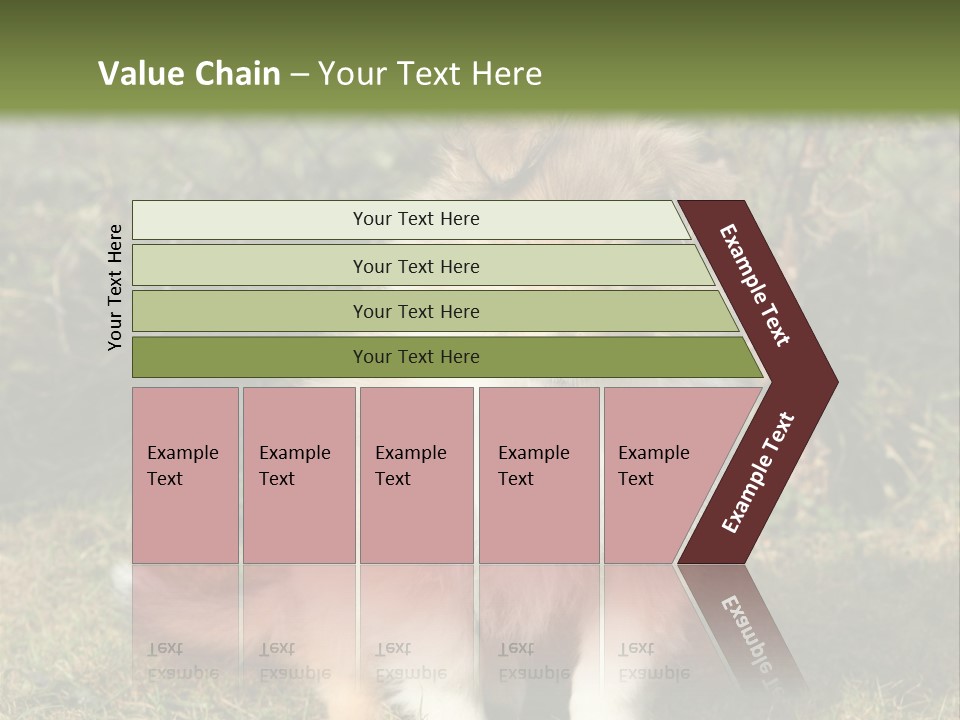 A Dog Is Sitting In The Grass Near A Fence PowerPoint Template