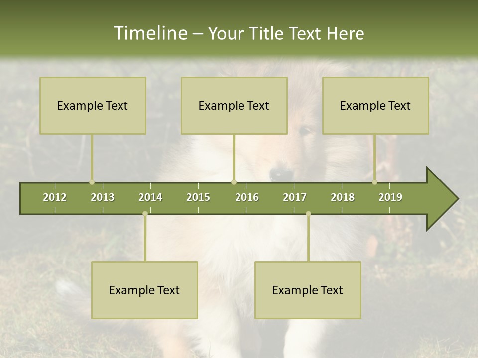A Dog Is Sitting In The Grass Near A Fence PowerPoint Template