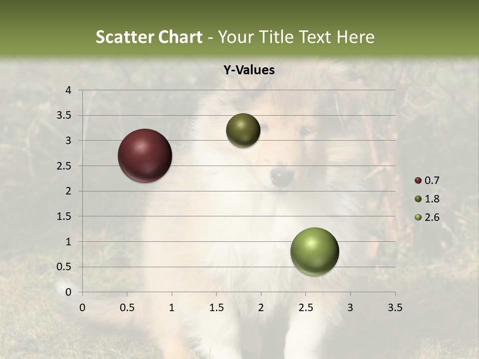 A Dog Is Sitting In The Grass Near A Fence PowerPoint Template