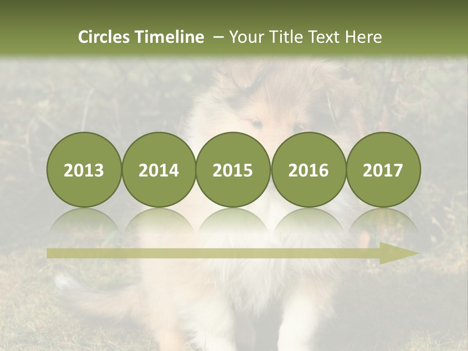 A Dog Is Sitting In The Grass Near A Fence PowerPoint Template