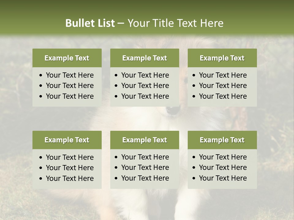 A Dog Is Sitting In The Grass Near A Fence PowerPoint Template