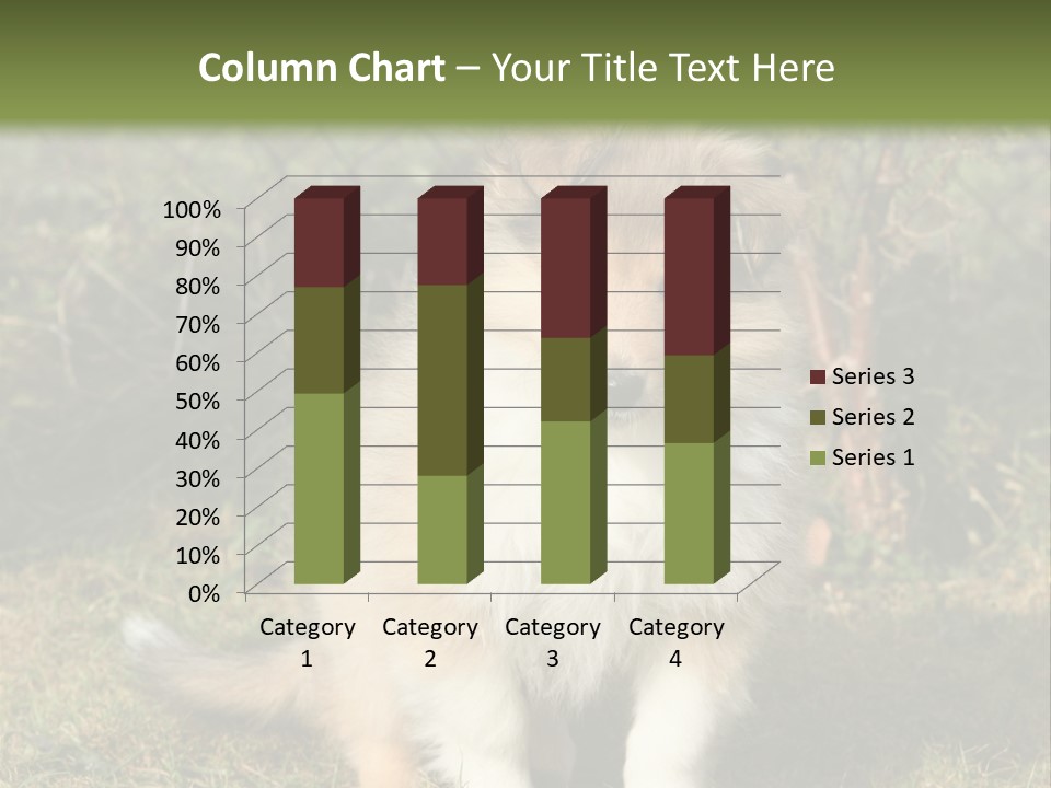A Dog Is Sitting In The Grass Near A Fence PowerPoint Template