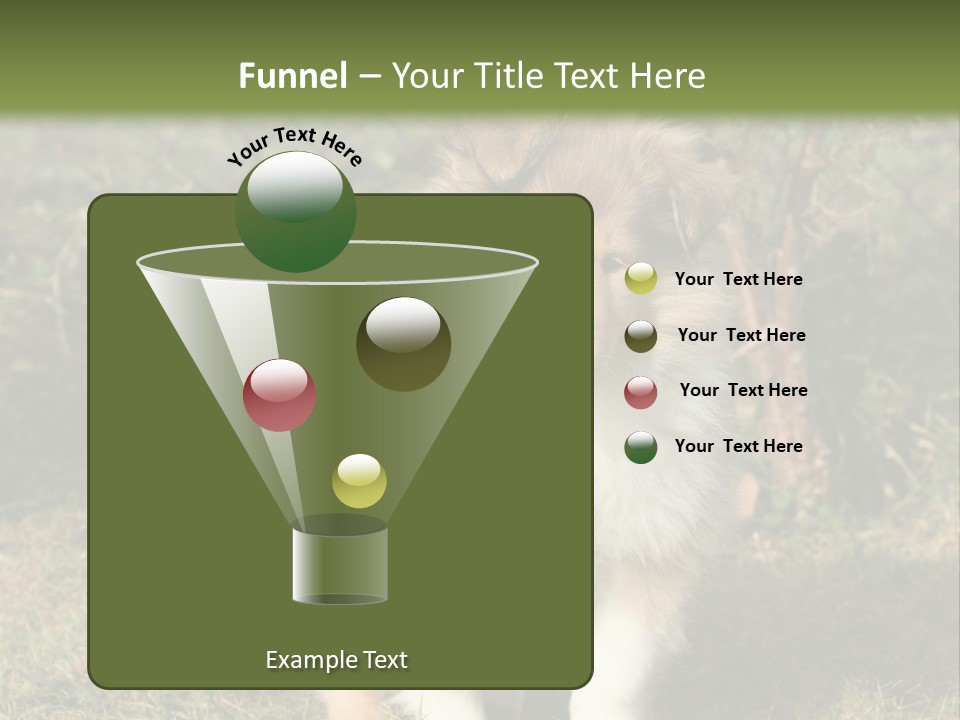 A Dog Is Sitting In The Grass Near A Fence PowerPoint Template