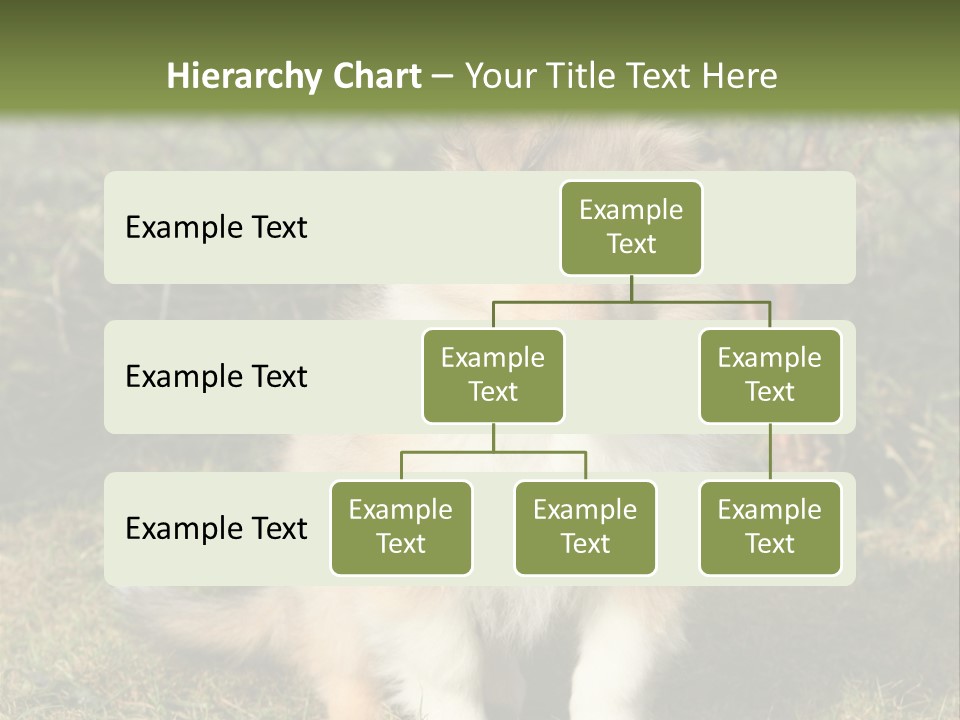 A Dog Is Sitting In The Grass Near A Fence PowerPoint Template