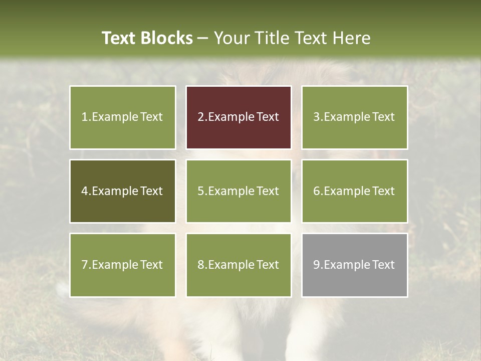 A Dog Is Sitting In The Grass Near A Fence PowerPoint Template